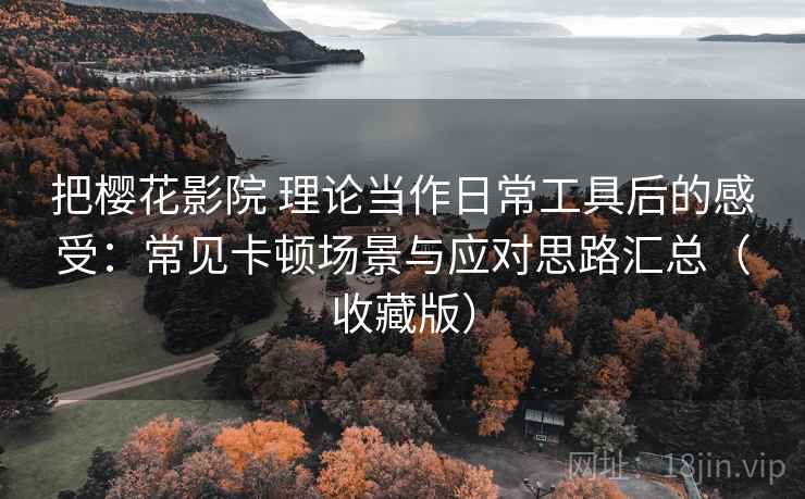把樱花影院 理论当作日常工具后的感受：常见卡顿场景与应对思路汇总（收藏版）